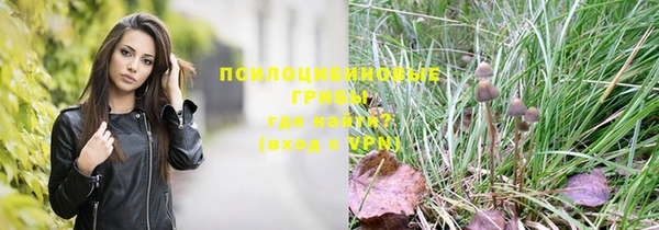 гидропоника Видное