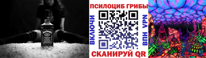 Псилоцибиновые грибы мицелий  Купить  Кодинск 